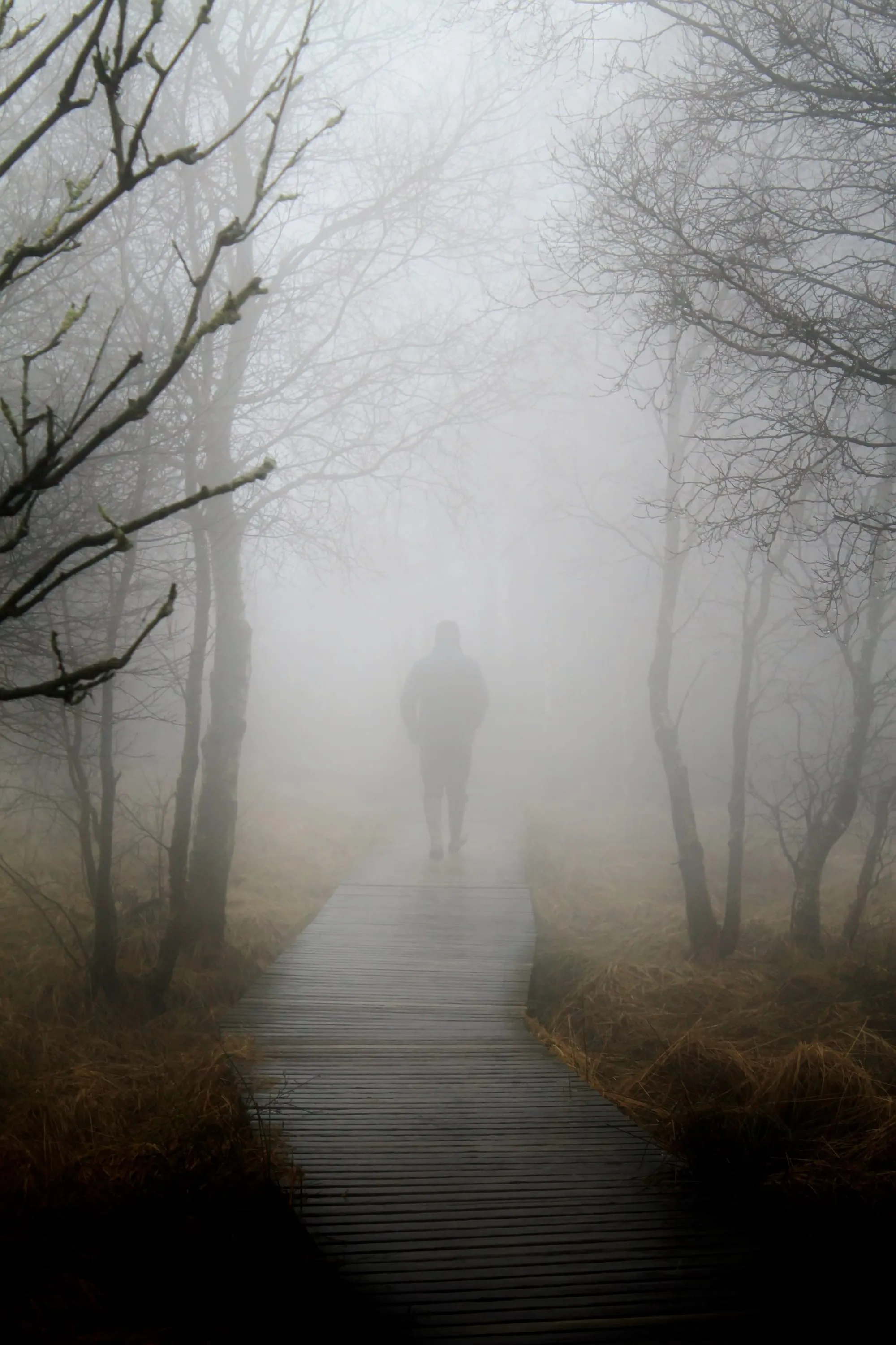 Belief, Faith, Confidence: Trifecta of How Reality Works