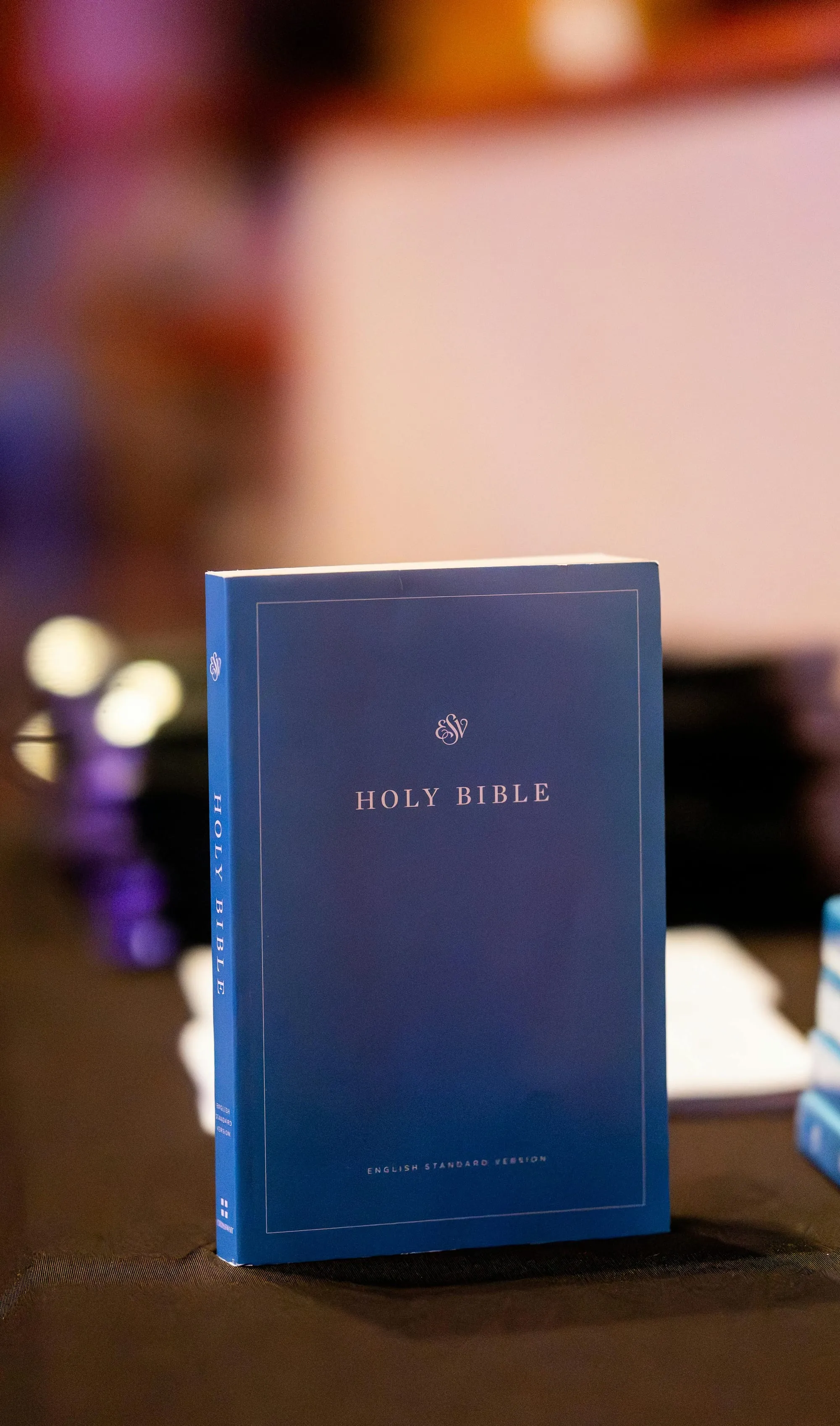 The Real Bible: Neuroanatomy and Quantum Physics