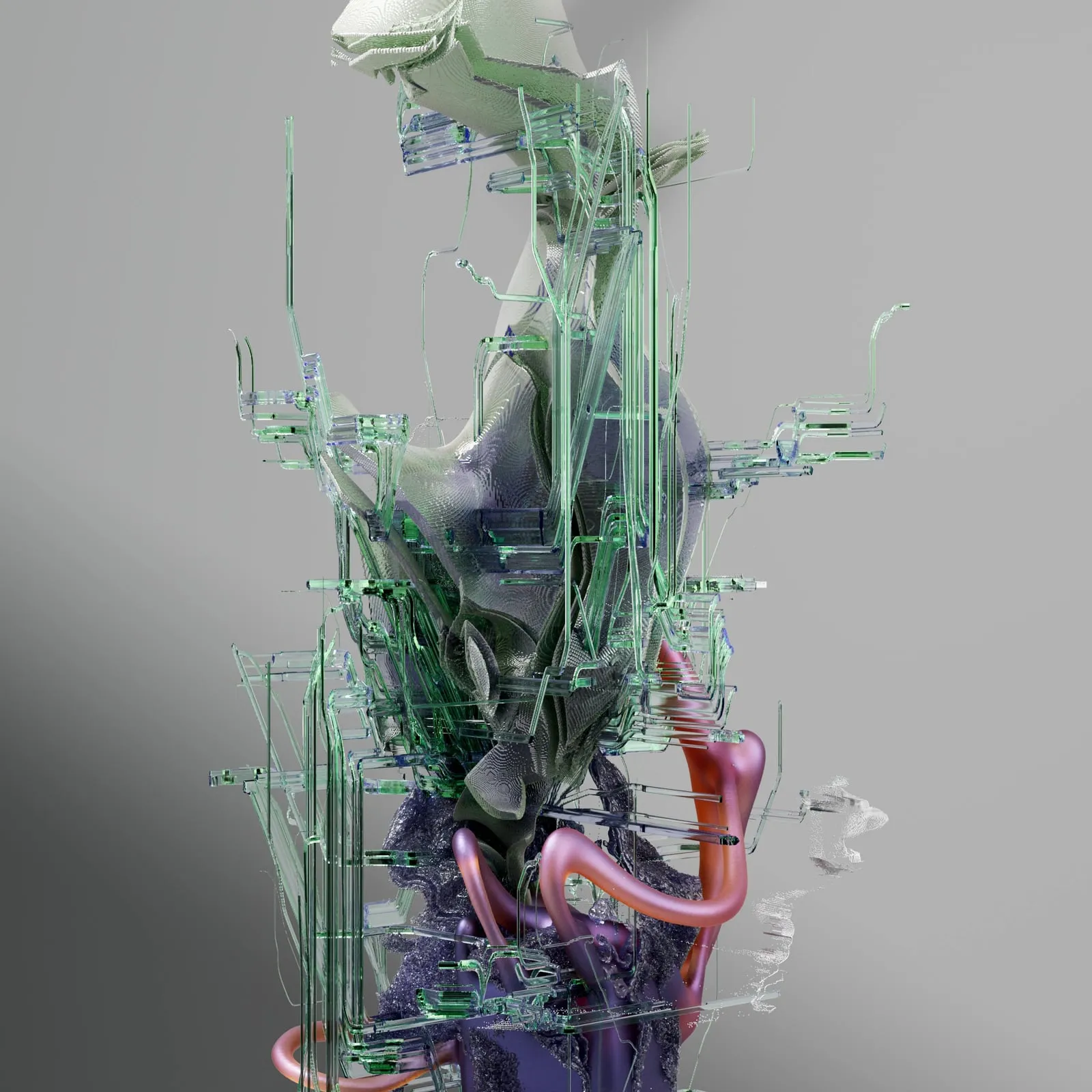 Neuroplasticity: the adult brain renews itself in response to what it pays attention to